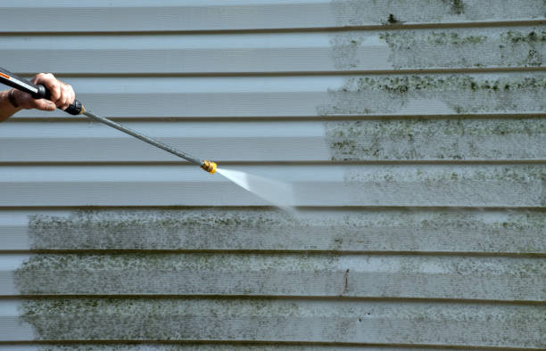 Best Attic Mold Removal  in Homeland Park, SC