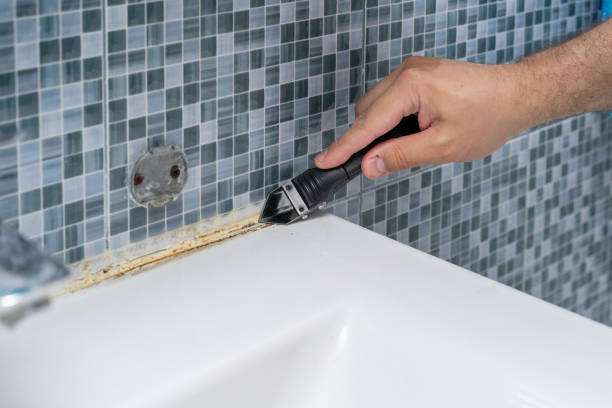 Best Black Mold Removal  in Homeland Park, SC